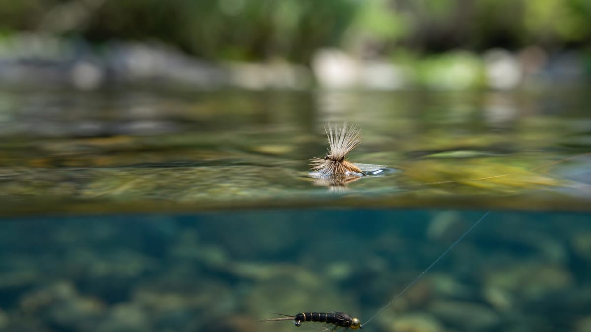 Split view at the waterline — a hackled dry fly resting on the surface film with a weighted nymph visible in the clear water below